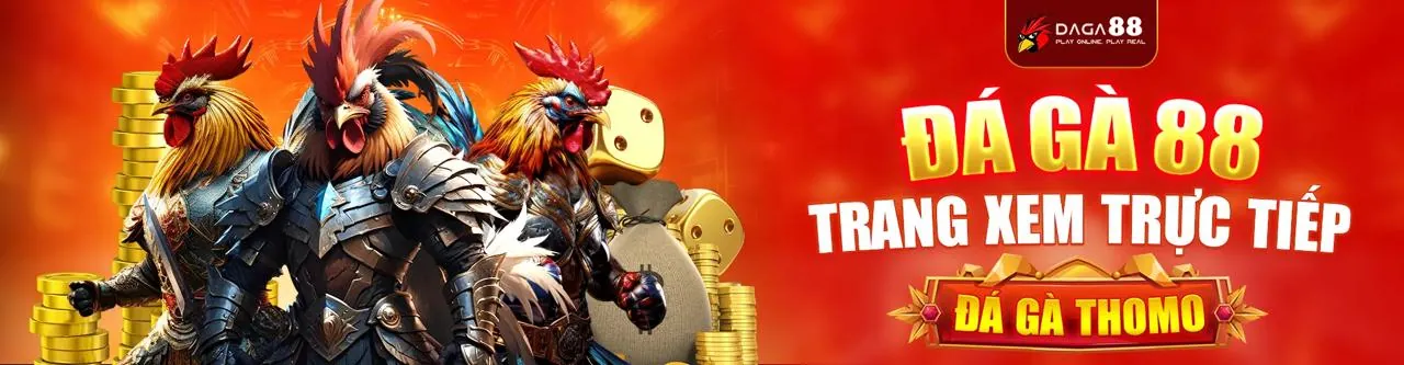 Hình ảnh Chính sách Cookie của 1133win code