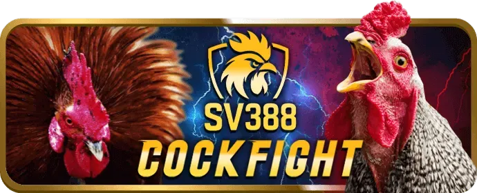 Hình ảnh về giấy phép và sự uy tín của 1133win code